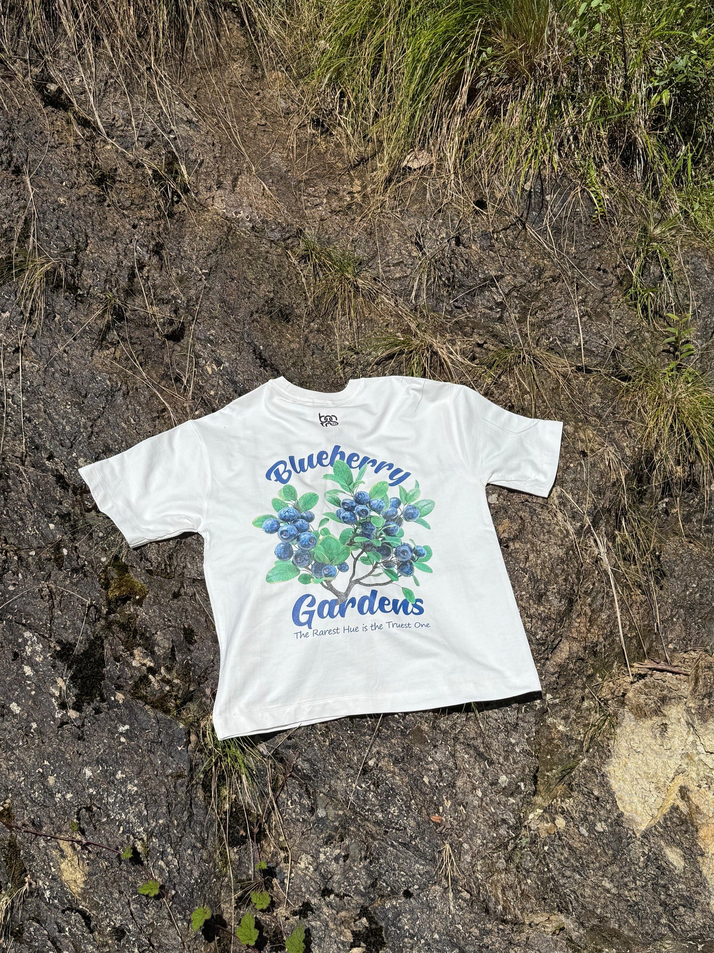Blueberry Gardens oversized T-shirt 240 GSM | Bostrowear