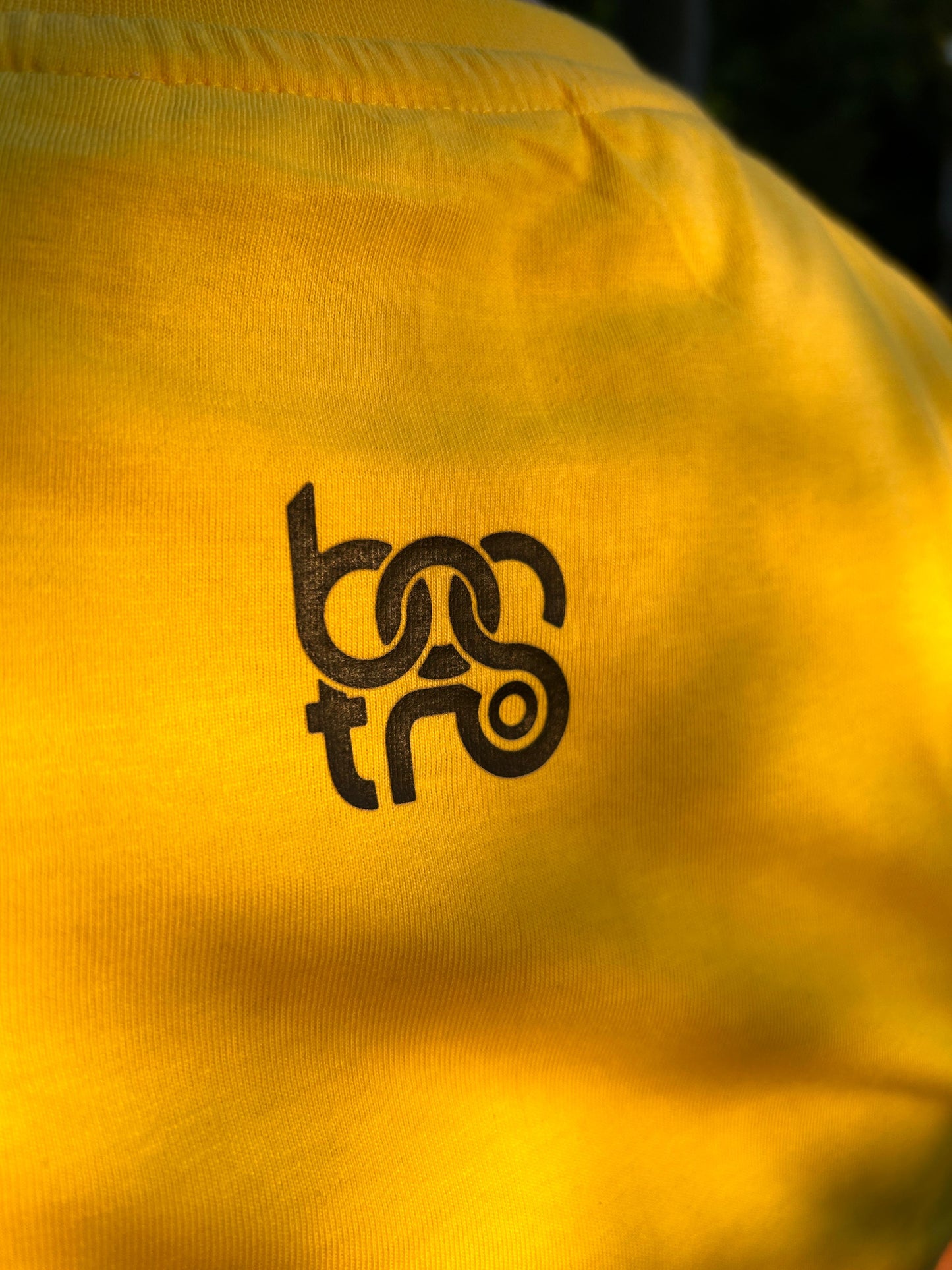 Regular T-shirt 180 GSM / The Botanic Edge